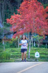 BIB: 
                            <button type="button" onclick="openModal(19242173)" class="btn btn-primary btn-sm float-right btn-popup" data-toggle="modal" data-target=".modal-high-quality">
                        <i class="fas fa-shopping-cart"></i> Add to Cart
                    </button>
                                            <button type="button" onclick="isThisMe(19242173, true)" class="btn btn-success btn-sm float-right btn-popup btn-isme hidden" data-toggle="tooltip" data-placement="bottom" title="นี่คือรูปของคุณใช่ไหม คลิกที่นี่เพื่อเอาเข้าอัลบั้ม">
                        <i class="fas fa-plus"></i> Add to album
                    </button>
                    <button type="button" onclick="isThisMe(19242173, false)" class="btn btn-warning btn-sm float-right btn-popup btn-isnotme hidden">
                        <i class="fas fa-ban"></i> Remove from album
                    </button>